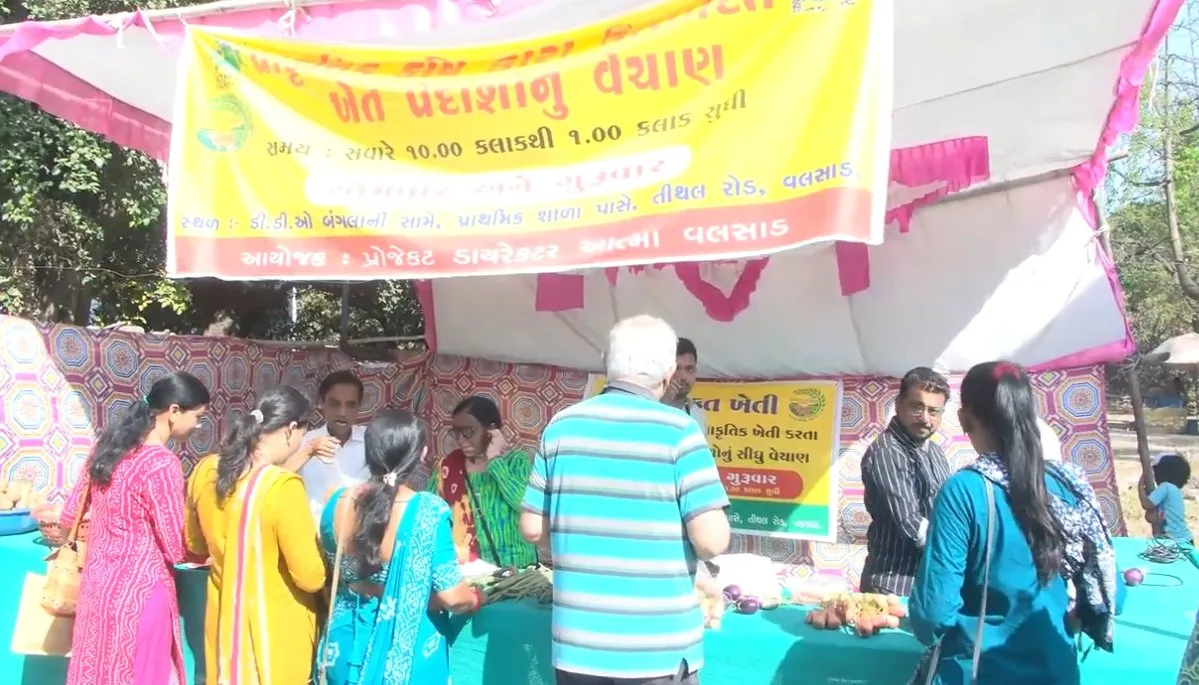 વલસાડમાં આત્મા પ્રોજેક્ટ હેઠળ પ્રાકૃતિક ખેત પેદાશનું માર્કેટ શરૂ, શહેરવાસીઓને ઝેરમુક્ત શાકભાજી મળવાની નવી સુવિધા 2 valsad natural farming market atma project 2.jpeg