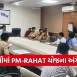 amreli pm rahat road accident treatment scheme