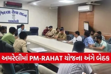 amreli pm rahat road accident treatment scheme
