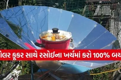 Solar Cooker