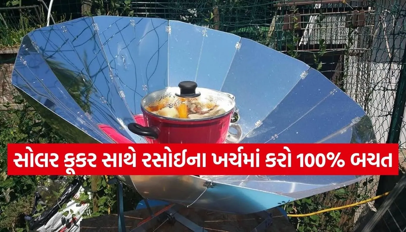 Solar Cooker