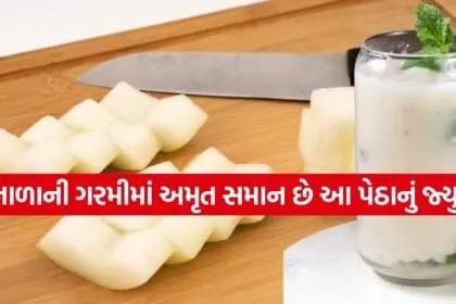 Ash Gourd Juice