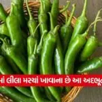 chilli