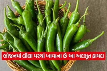 chilli