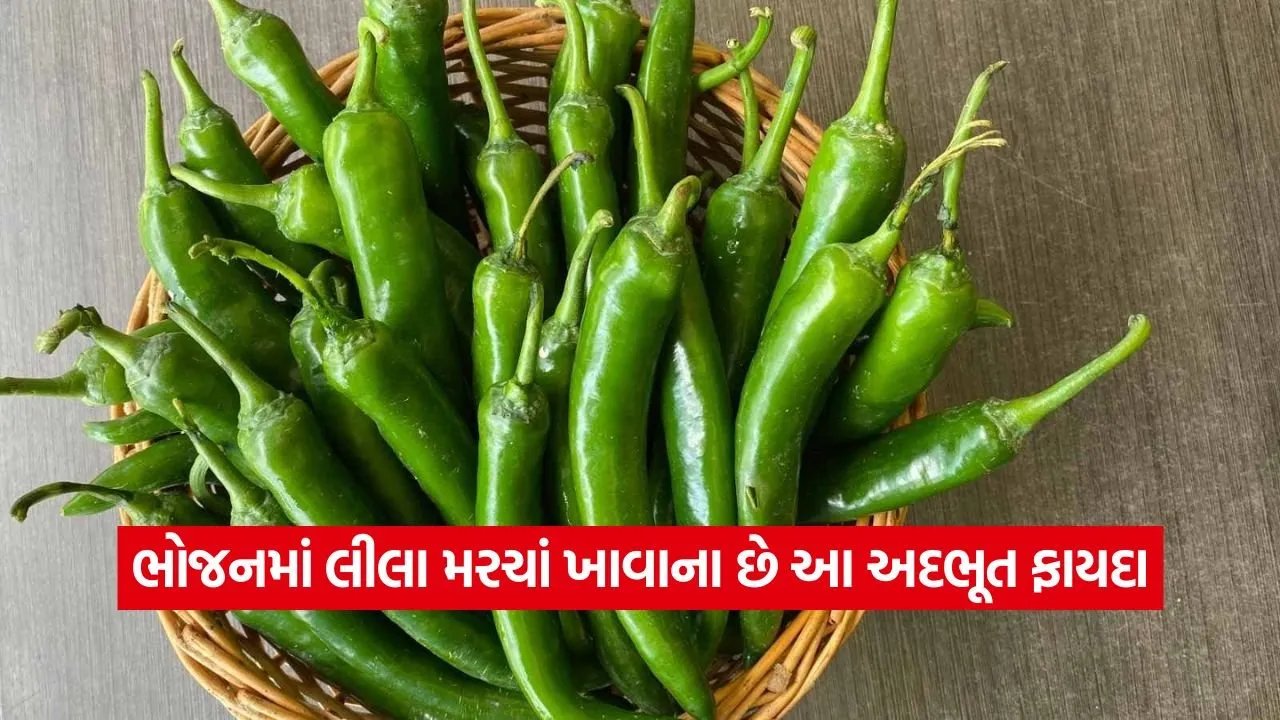 chilli.jpg