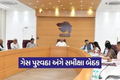 gujarat png gas connection decision 1