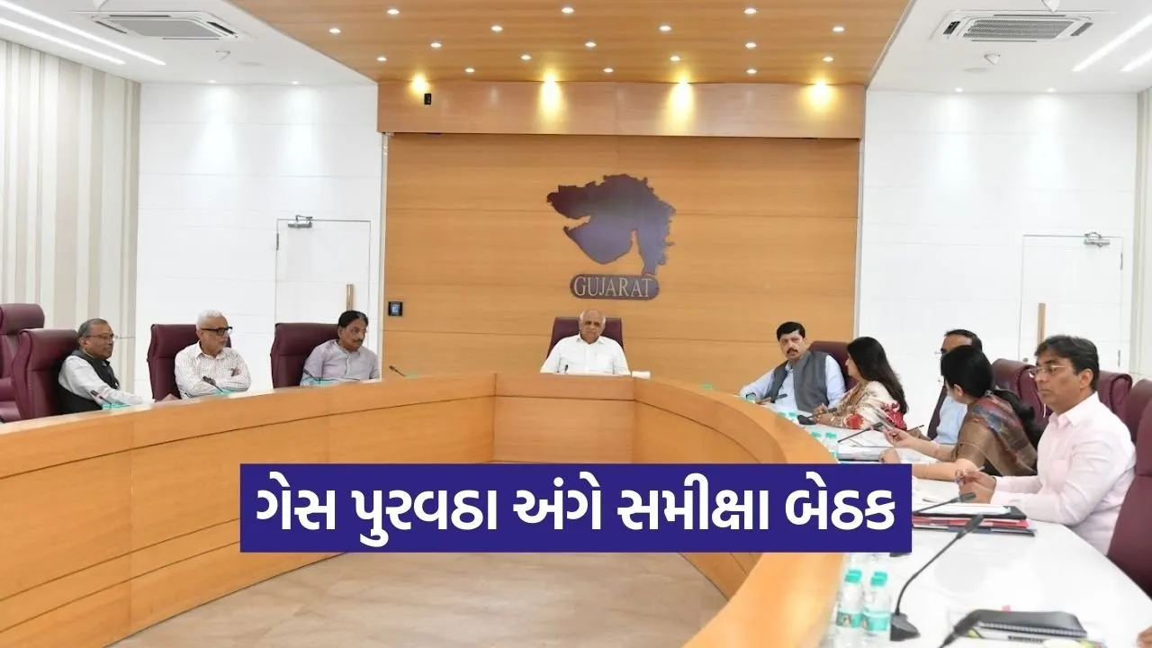 gujarat png gas connection decision 1.jpg