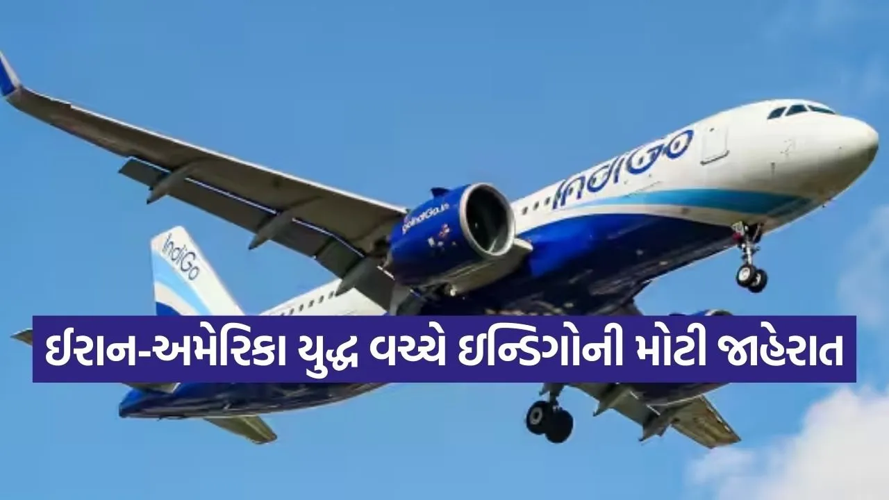 Indigo 1403.jpg