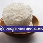 Sabudana Papad
