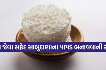 Sabudana Papad