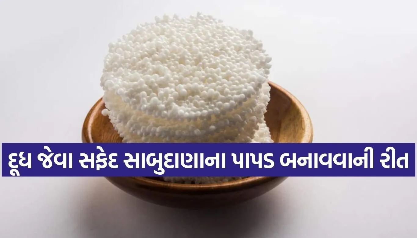 Sabudana Papad