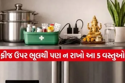 Fridge Vastu Tips