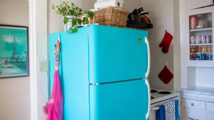 Fridge Vastu Tips