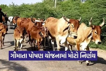 Gujarat Gau Mata Poshan Yojana Eligibility Extension 2026 1