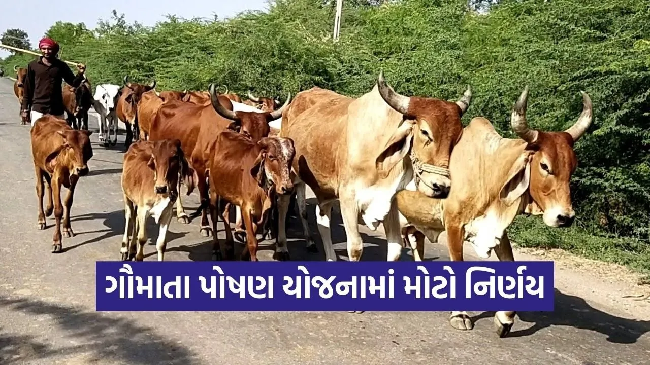 Gujarat Gau Mata Poshan Yojana Eligibility Extension 2026 1.jpg
