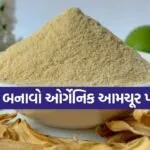 Homemade Amchur Powder