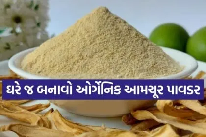 Homemade Amchur Powder