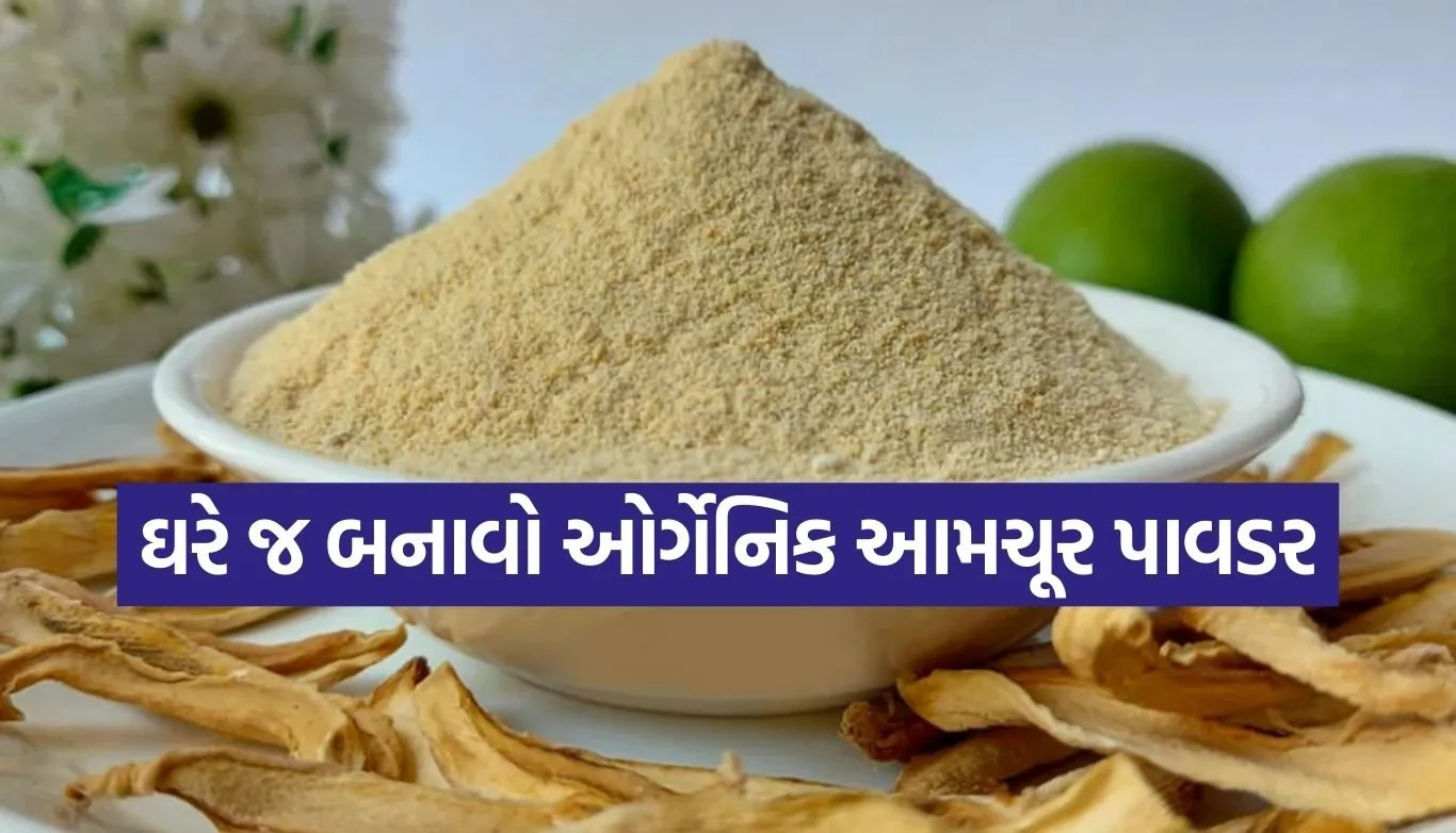 Homemade Amchur Powder