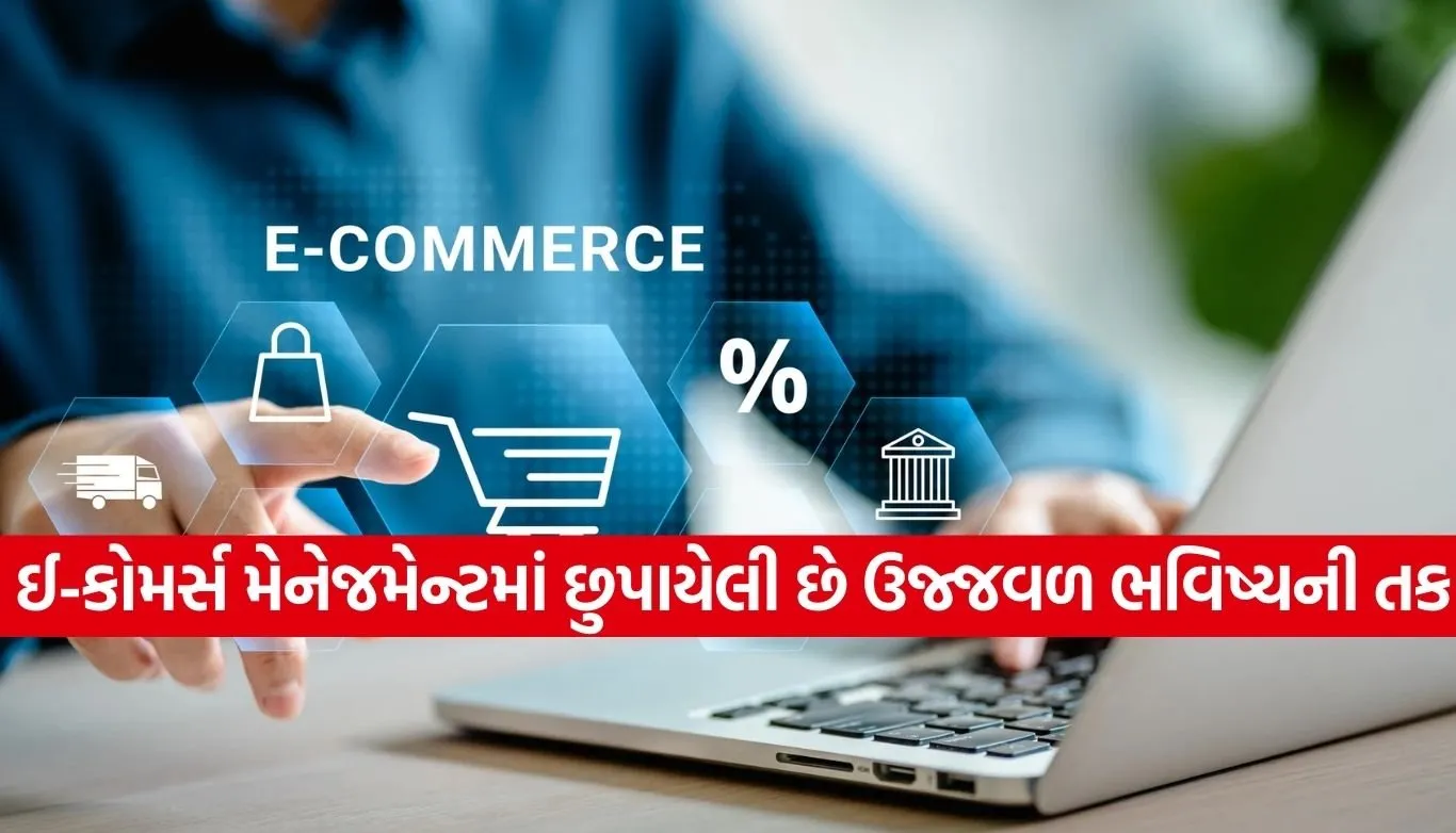 E-commerce Management