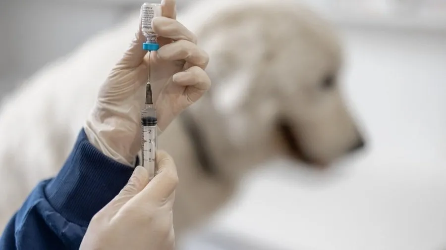 AI Based Cancer Vaccine
