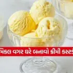 Custard Ice Cream