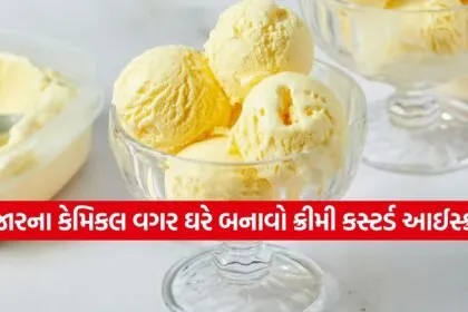 Custard Ice Cream