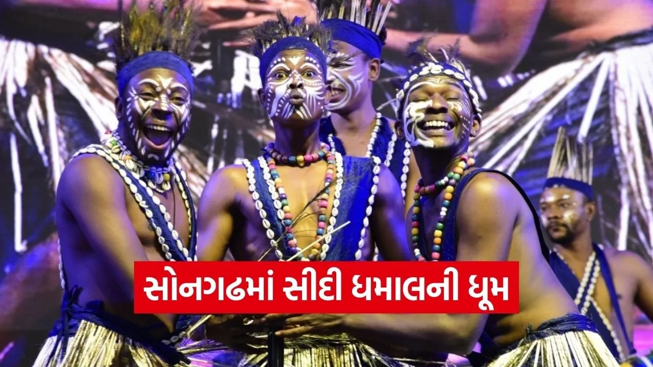 Siddi Dhamal Dance Songadh Tribal Festival Gujarat 1.jpg