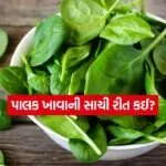Spinach 1603