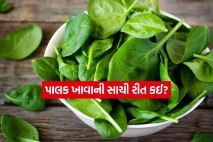 Spinach 1603