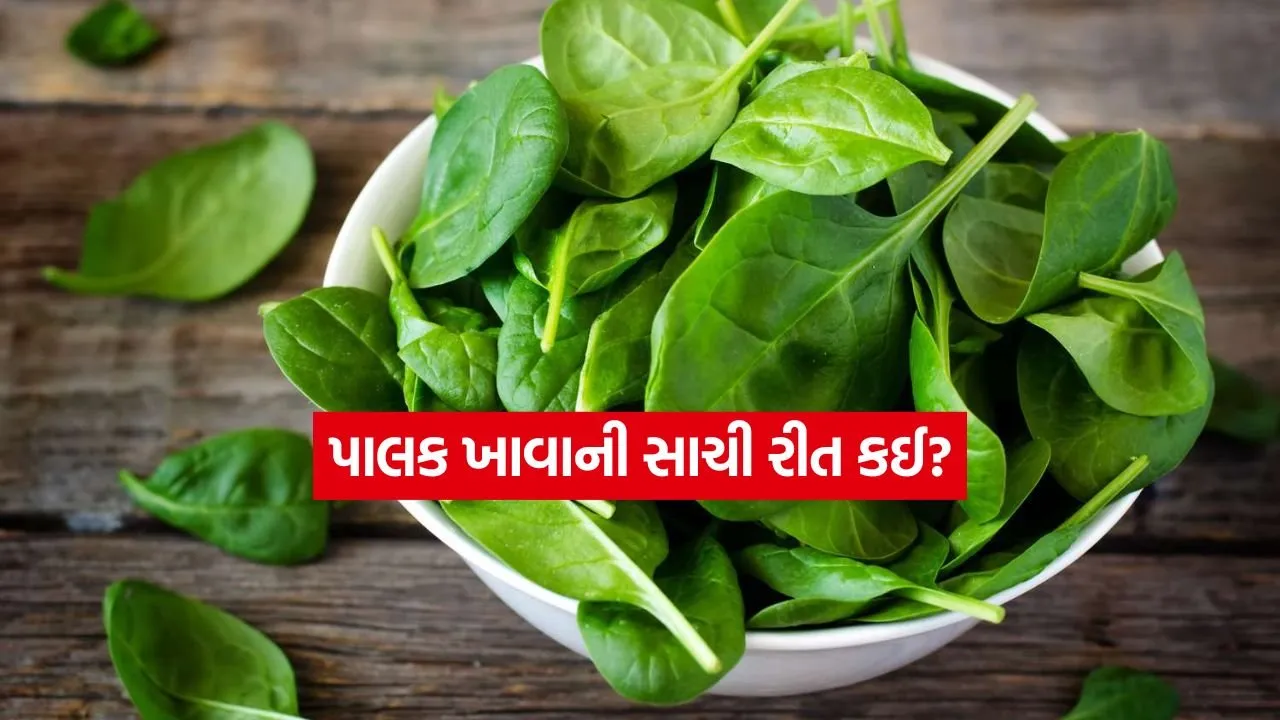 Spinach 1603.jpg