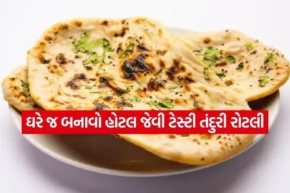 Tandoori roti 1603
