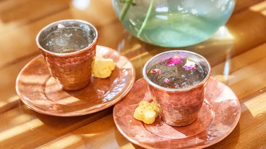 ચિયા સીડ્સ અને ગુંદ કાતીરાનું શરબત શરીરને રાખશે કુદરતી રીતે ઠંડુ; જાણો તેને બનાવવાની રીત અને અગણિત ફાયદા 2 siya1.jpg