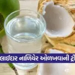 dharmishtha 1 2026 03 16T172450.129