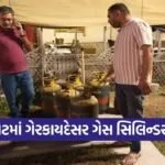 Rajkot Domestic Gas Cylinder Seizure Drive 1