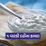 dharmishtha 1 2026 03 16T173803.021