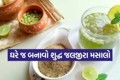 Homemade Jaljira Powder