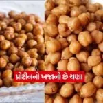 chana23