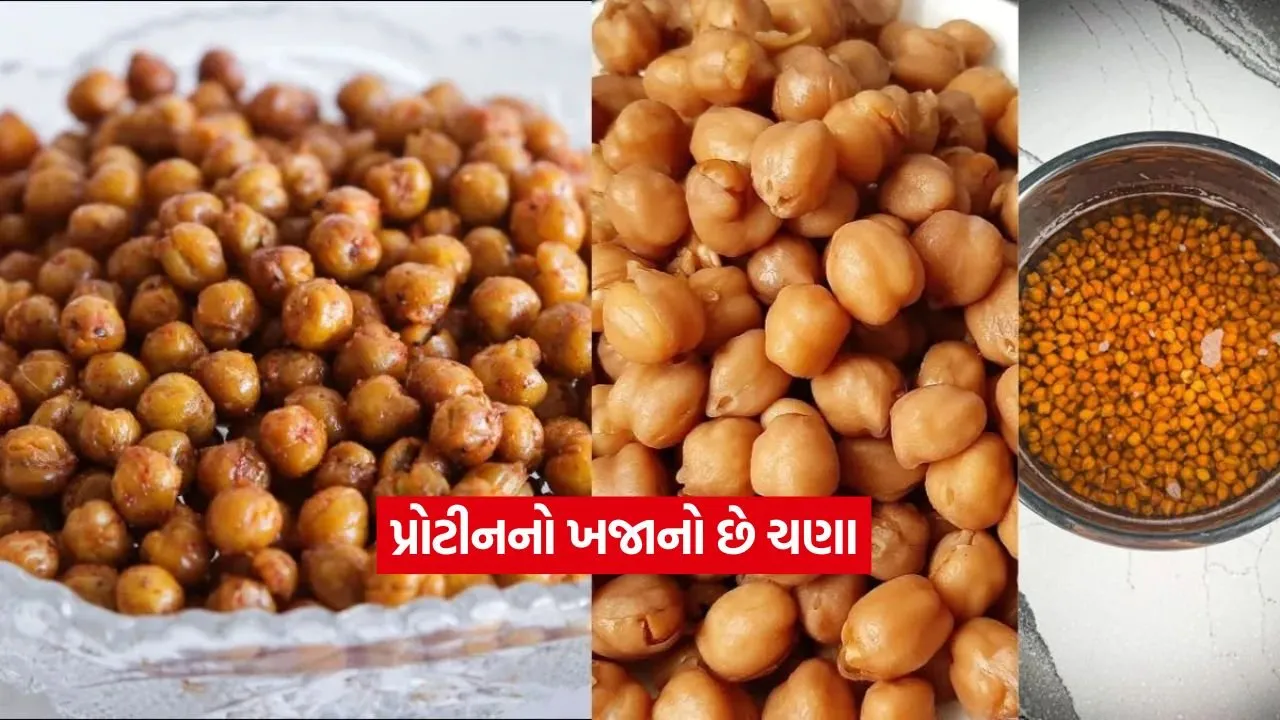 chana23.jpg