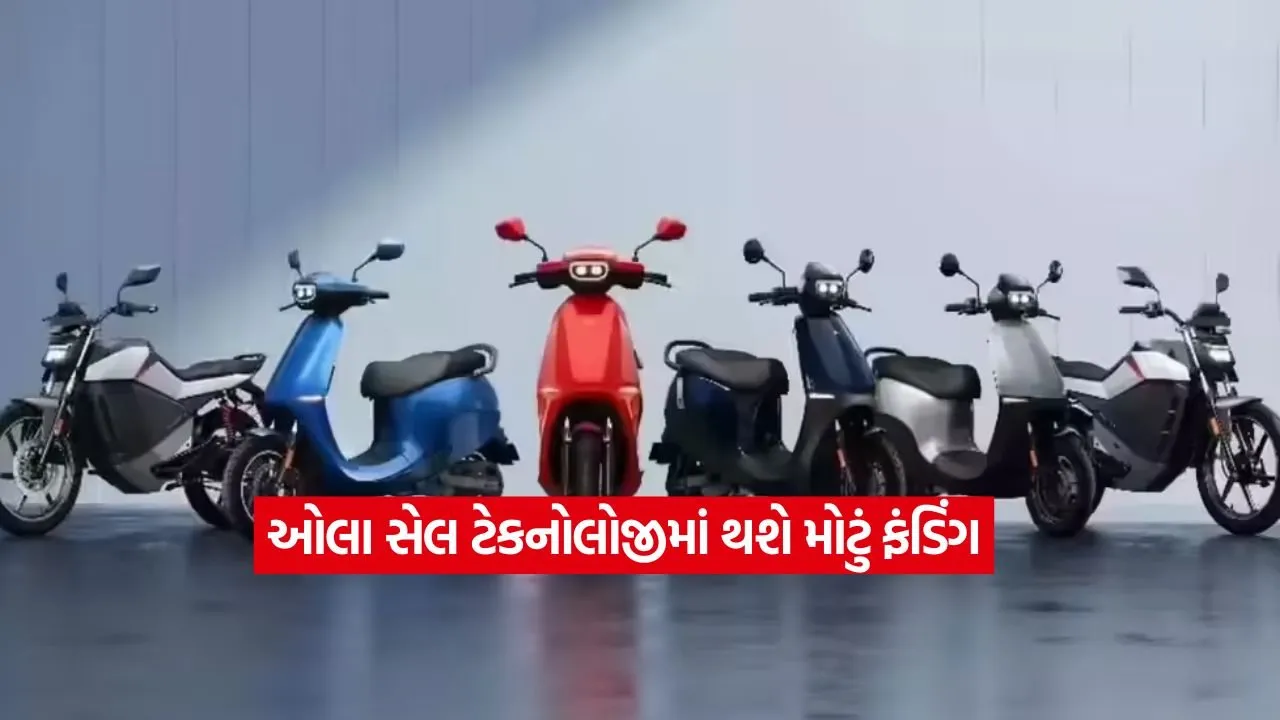 ola21.jpg