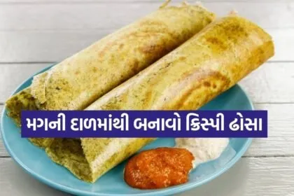 moong dal Dosa 1603