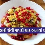 Papdi chaat