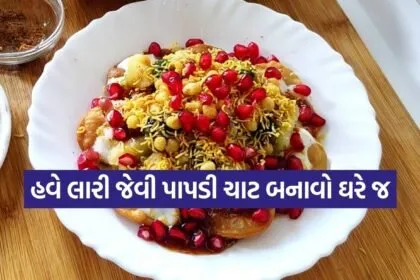Papdi chaat
