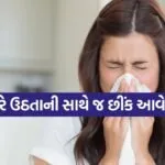 sneeze 1603