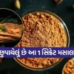 paratha masala