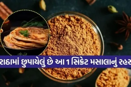 paratha masala