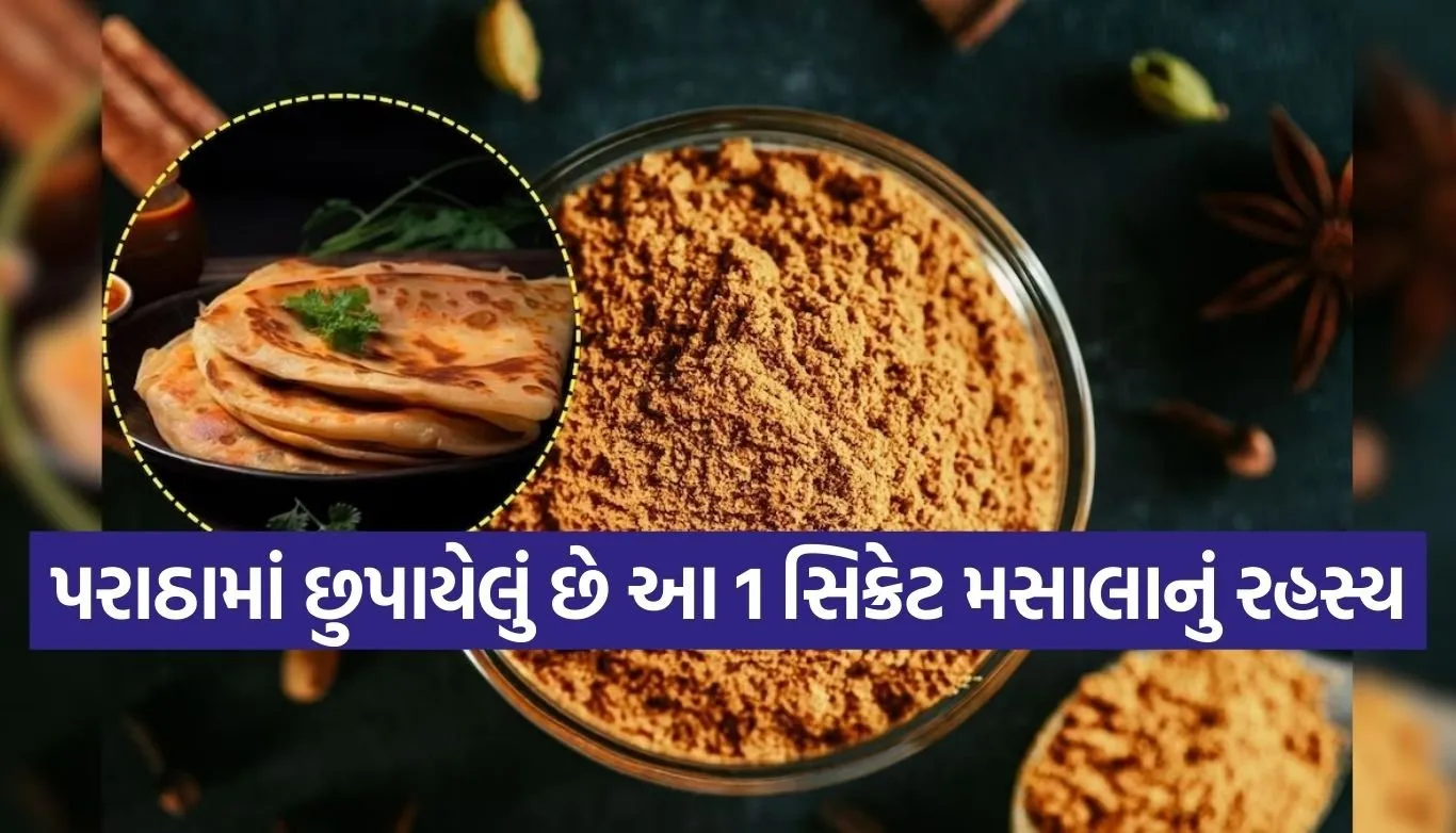 paratha masala