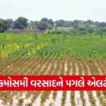Gujarat Rain Forecast Farmer Advisory March 2026 1