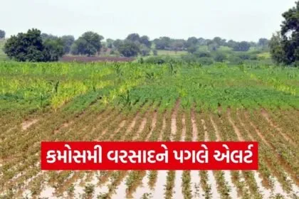Gujarat Rain Forecast Farmer Advisory March 2026 1