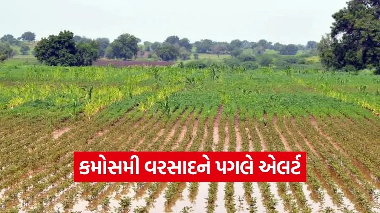 Gujarat Rain Forecast Farmer Advisory March 2026 1.jpg