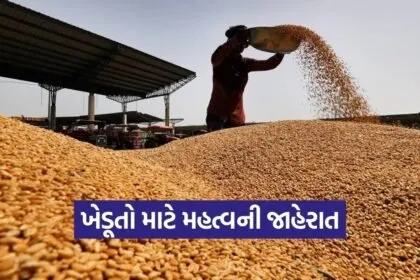 Gujarat Wheat MSP Registration 2026 1